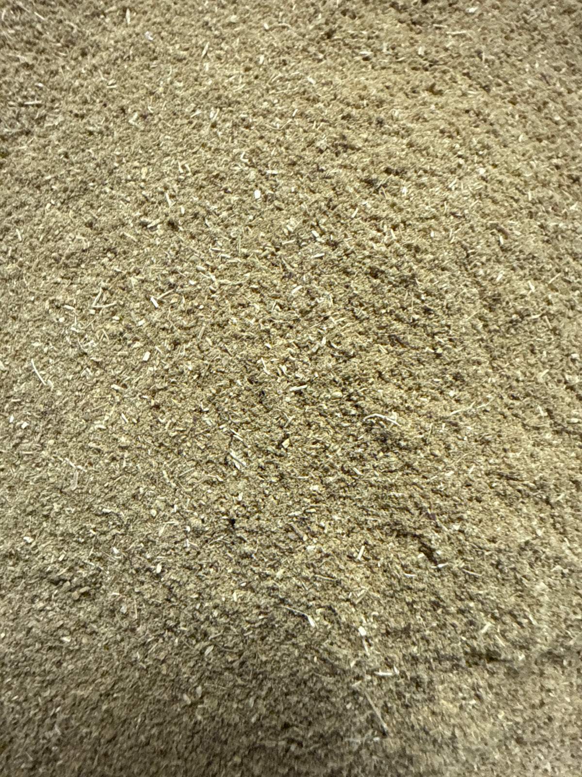 Thyme Powder (Thymus vulgaris) Organic – GARDENS OF THE ANCIENTS®