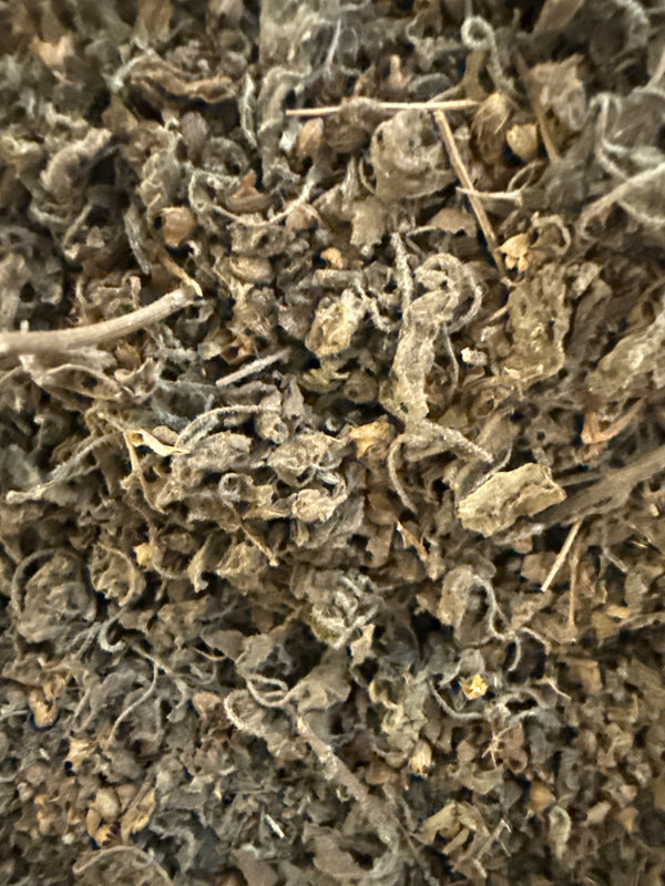 Holy Basil Aged – Ocimum tenuiflorum (Krishna Tulsi) Organic – GARDENS OF THE ANCIENTS®