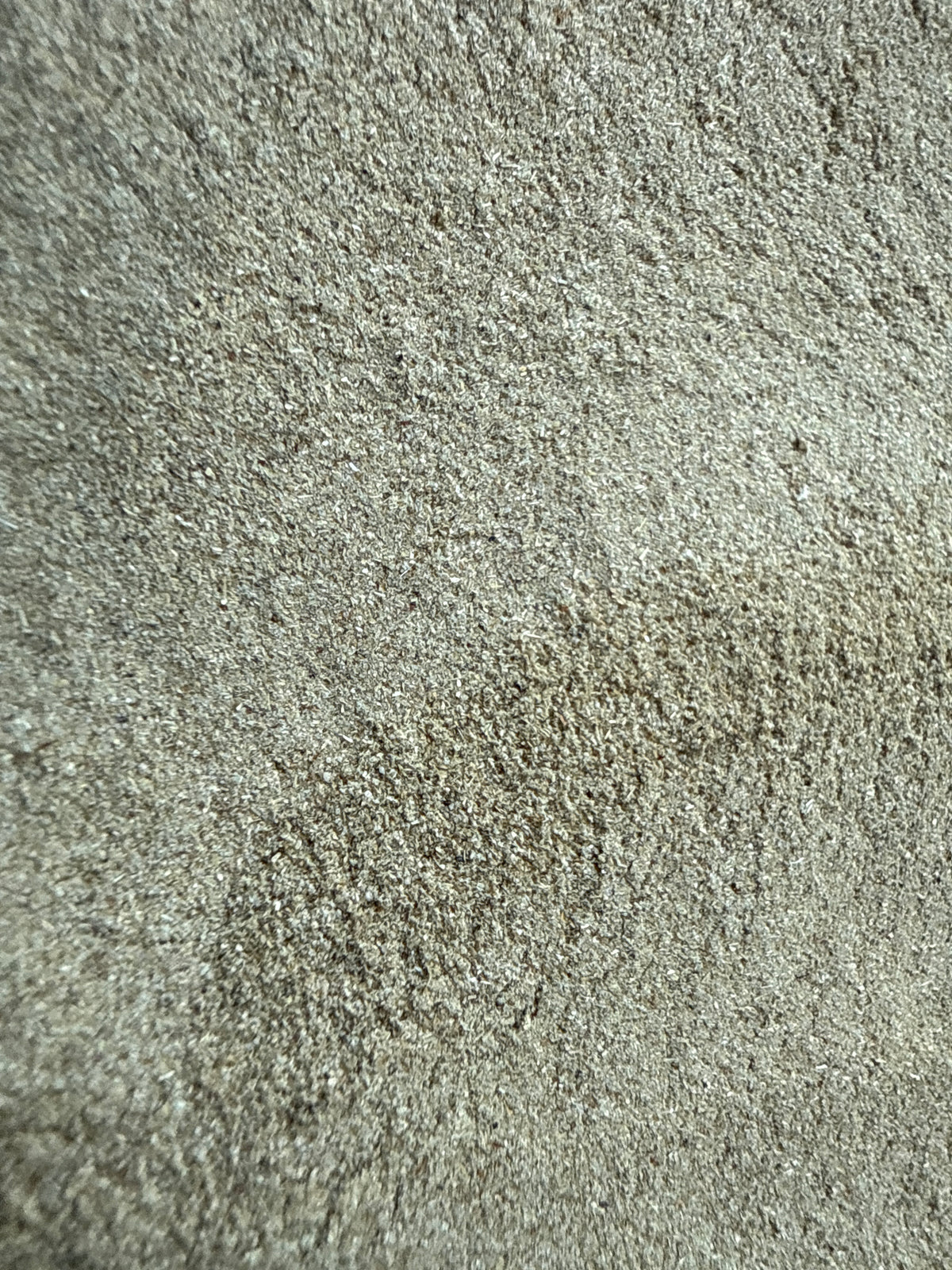 Horsetail Extract Powder 5:1 (Equisetum arvense) – GARDENS OF THE ANCIENTS®