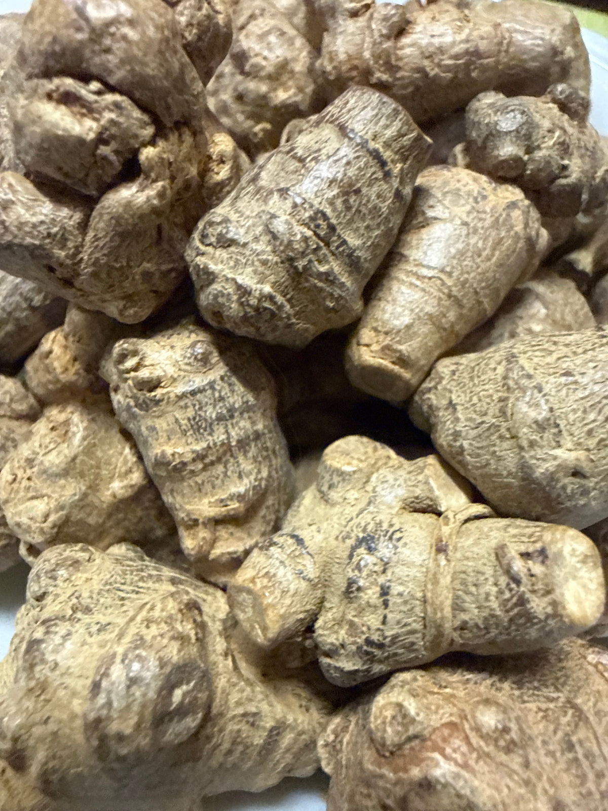 Notoginseng Root Whole (San Qi 三七, Panax notoginseng) Organic