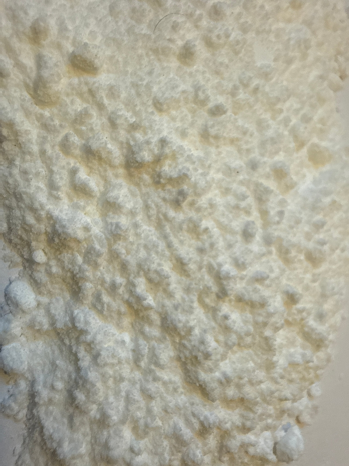 Creatine Microhydrate Micronized Pure Powder – GARDENS OF THE ANCIENTS®