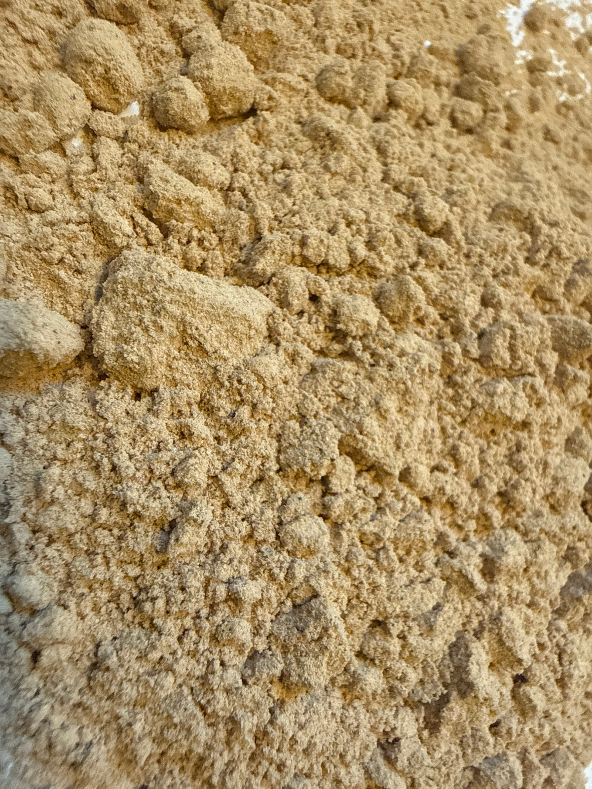 Mucuna Extract Powder 20:1 (Mucuna pruriens) – GARDENS OF THE ANCIENTS®
