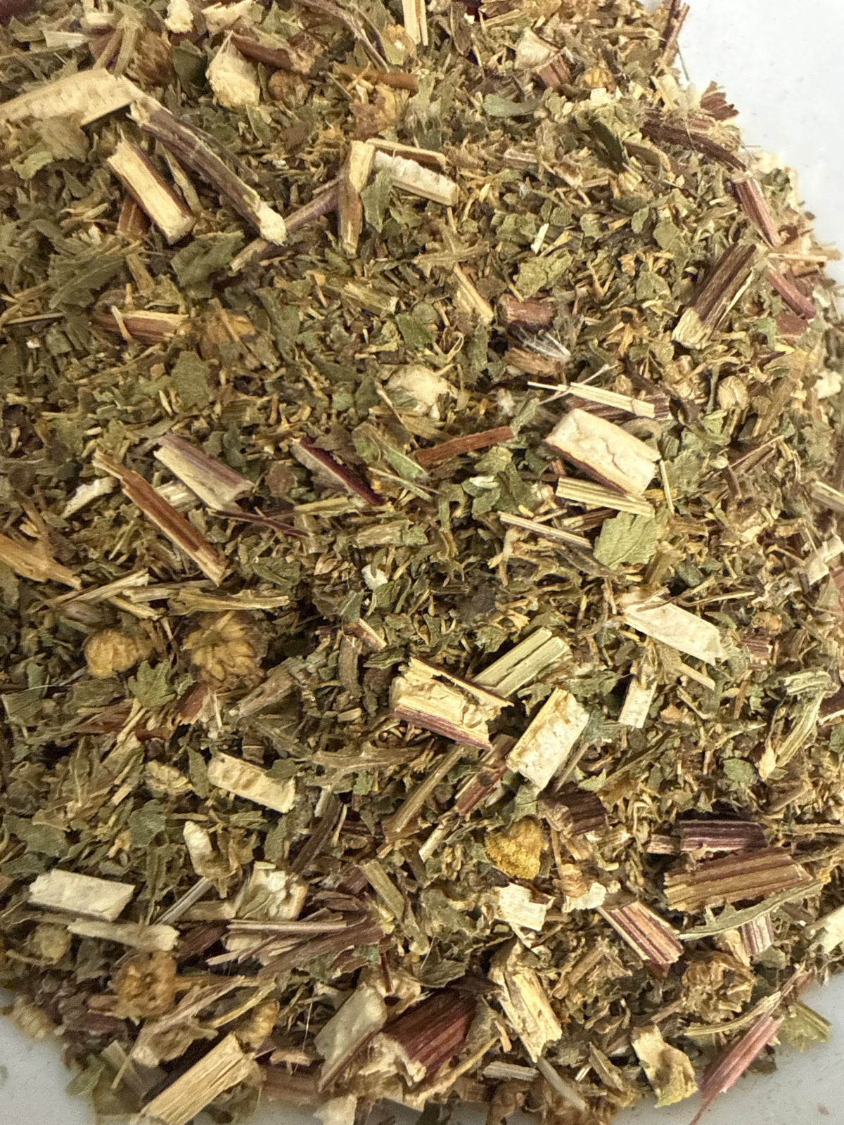 Tansy – Tanacetum vulgare USDA Certified Organic – GARDENS OF THE ANCIENTS®