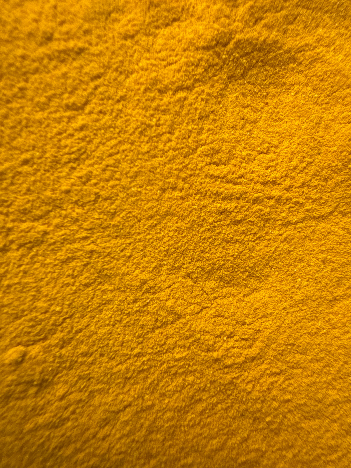 Turmeric Root Extract Powder 4:1 (Curcuma longa) Organic – GARDENS OF THE ANCIENTS®