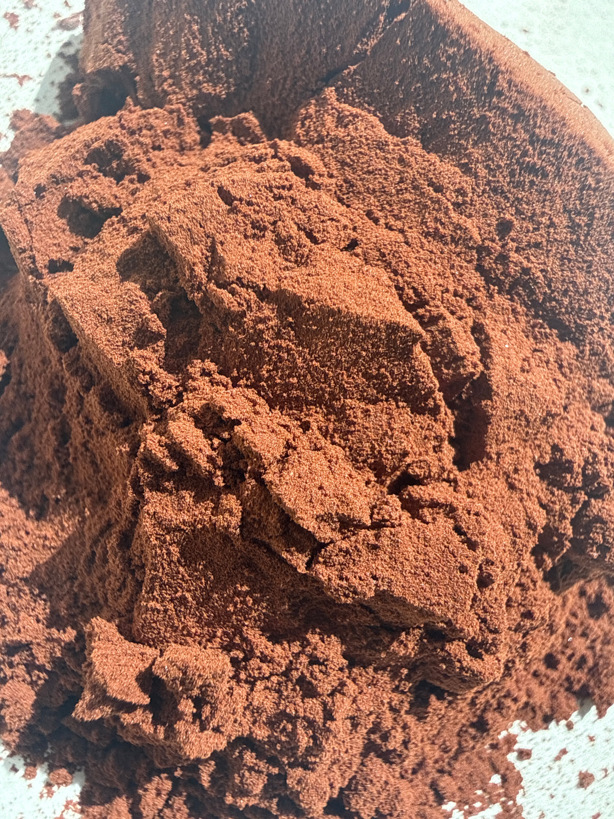 Pine Bark Powder Extract 95% (Pinus spp.) Organic
