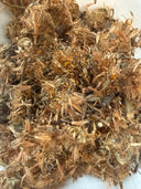 Arnica Flower and Leaf – Arnica montana – GARDENS OF THE ANCIENTS®