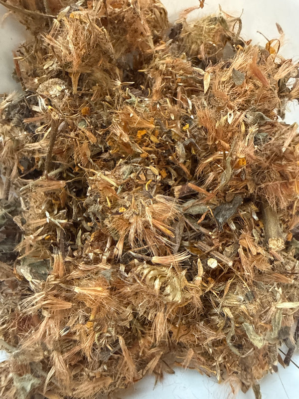 Arnica Flower and Leaf – Arnica montana – GARDENS OF THE ANCIENTS®