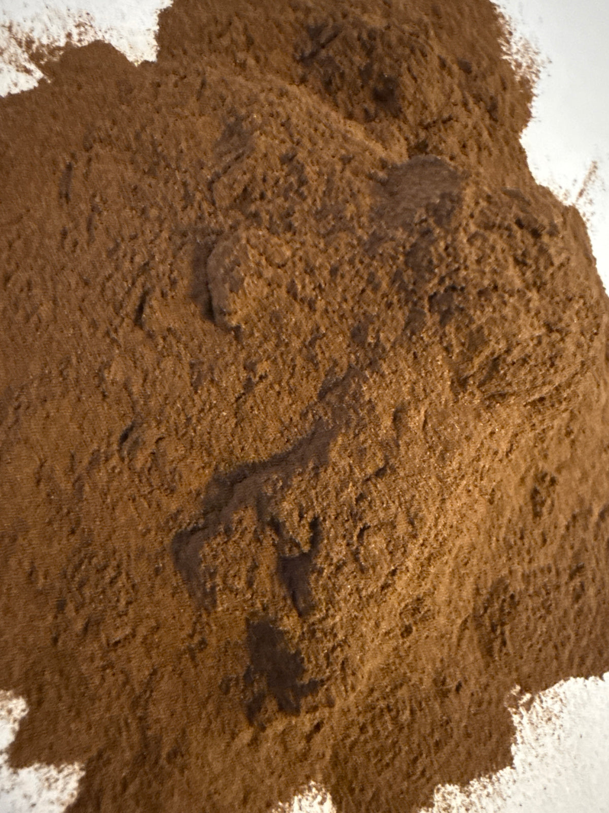 Pygeum Extract Powder 4:1 (Prunus africana) – GARDENS OF THE ANCIENTS®