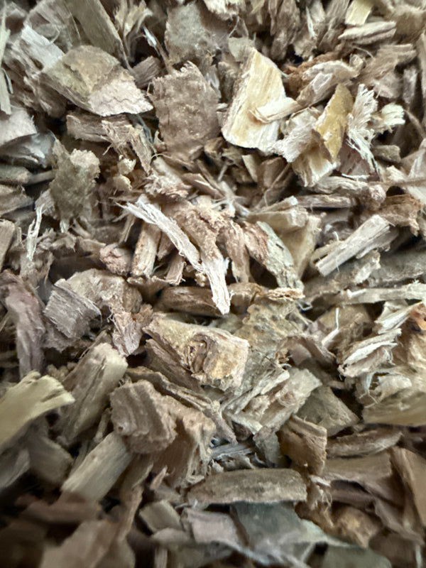 White Willow Bark – Salix alba – GARDENS OF THE ANCIENTS®