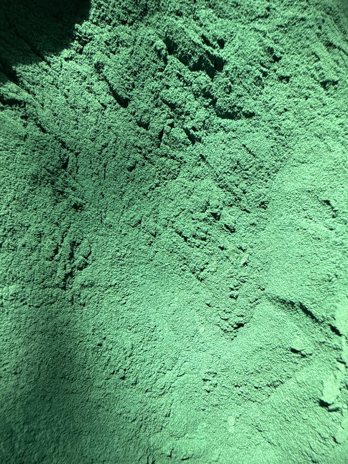 Spirulina Powder Hawaiian (Arthrospira platensis) – GARDENS OF THE ANCIENTS®