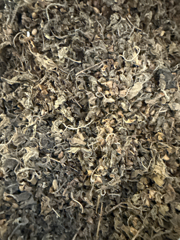 Holy Basil Tulsi Cut Aged – Ocimum tenuiflorum (Krishna or Rama) – GARDENS OF THE ANCIENTS®
