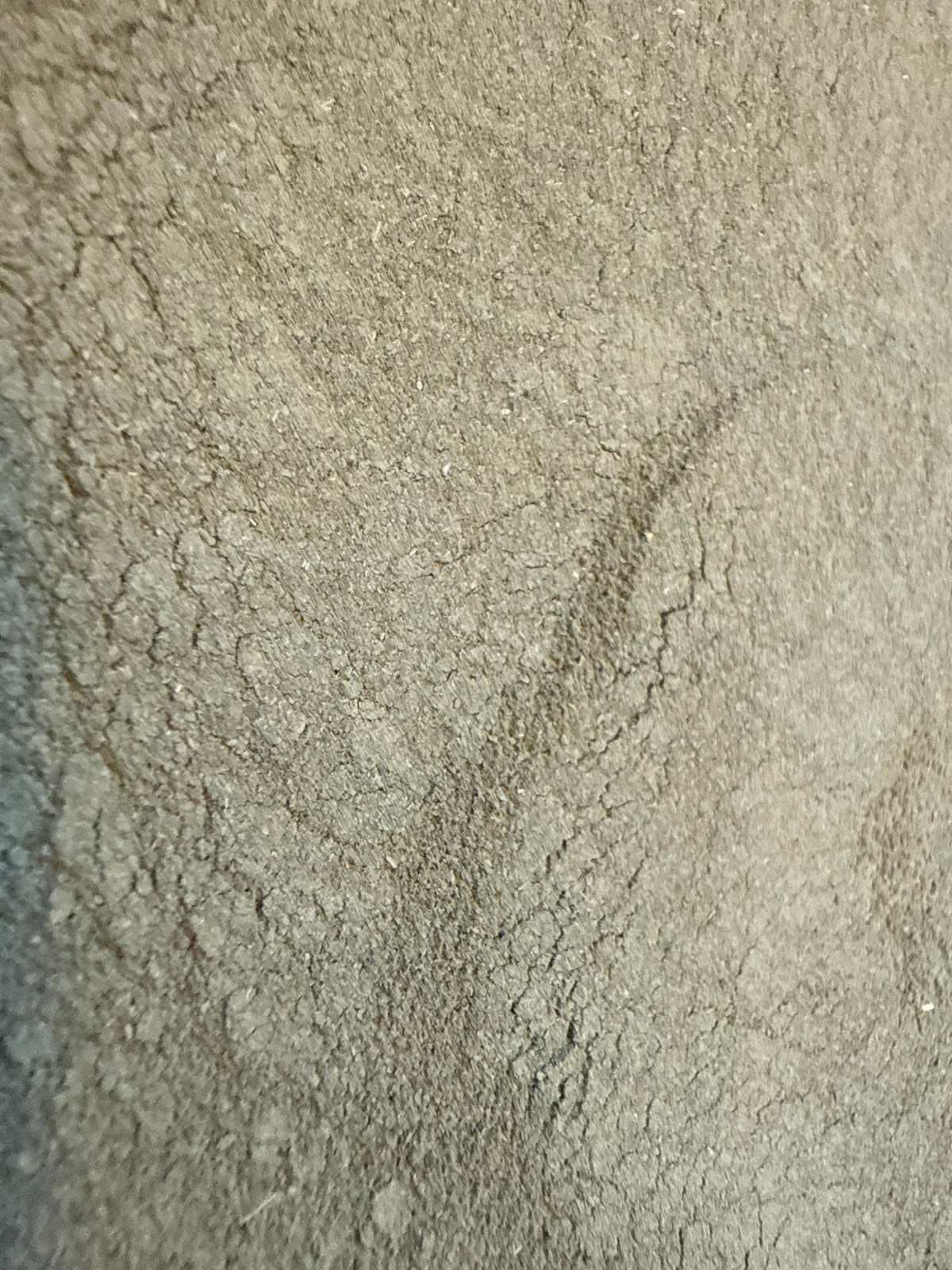 Neem Leaf Powder (Azadirachta indica) – GARDENS OF THE ANCIENTS®