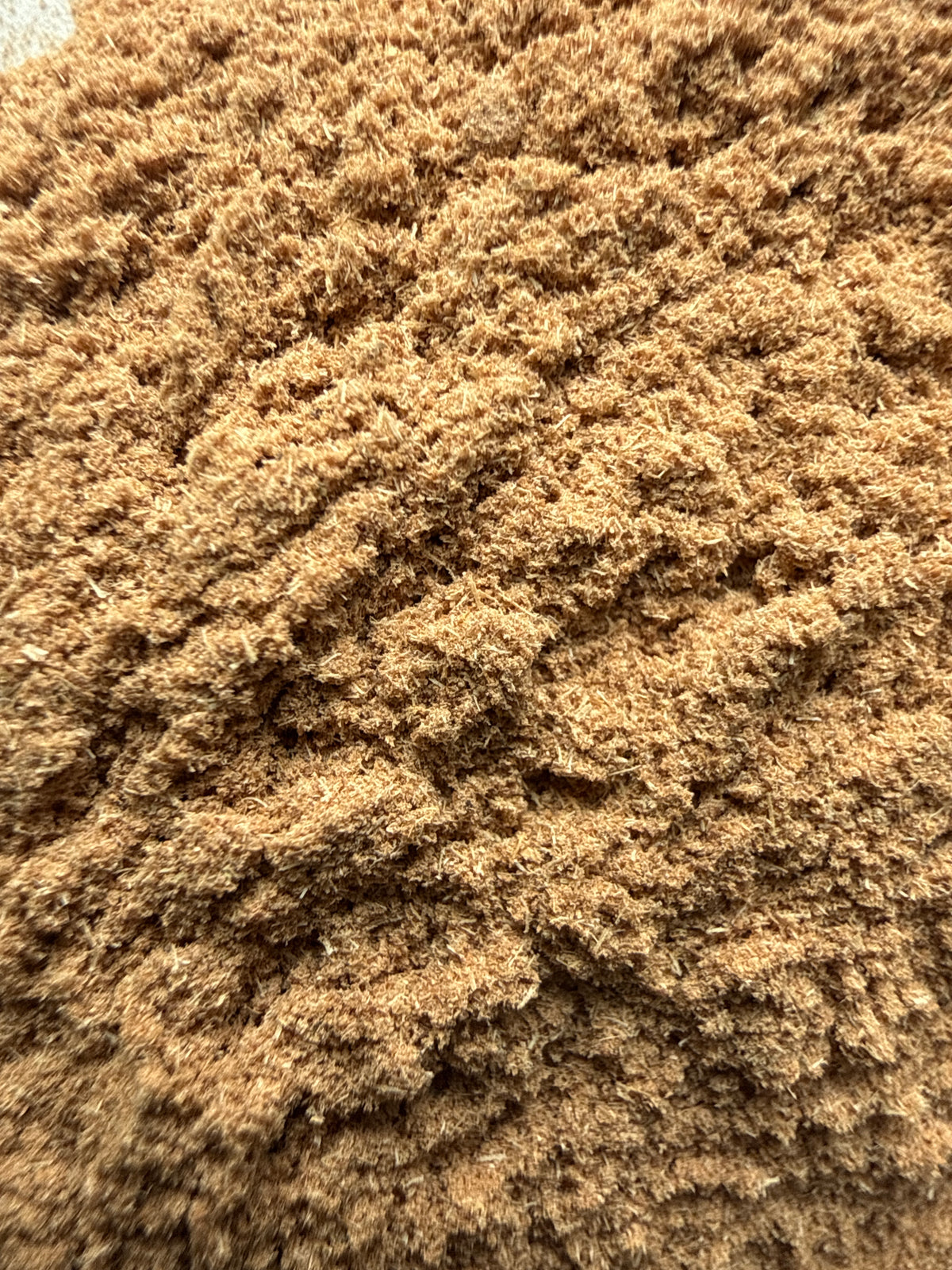 White Willow Bark Powder (Salix alba) – GARDENS OF THE ANCIENTS®