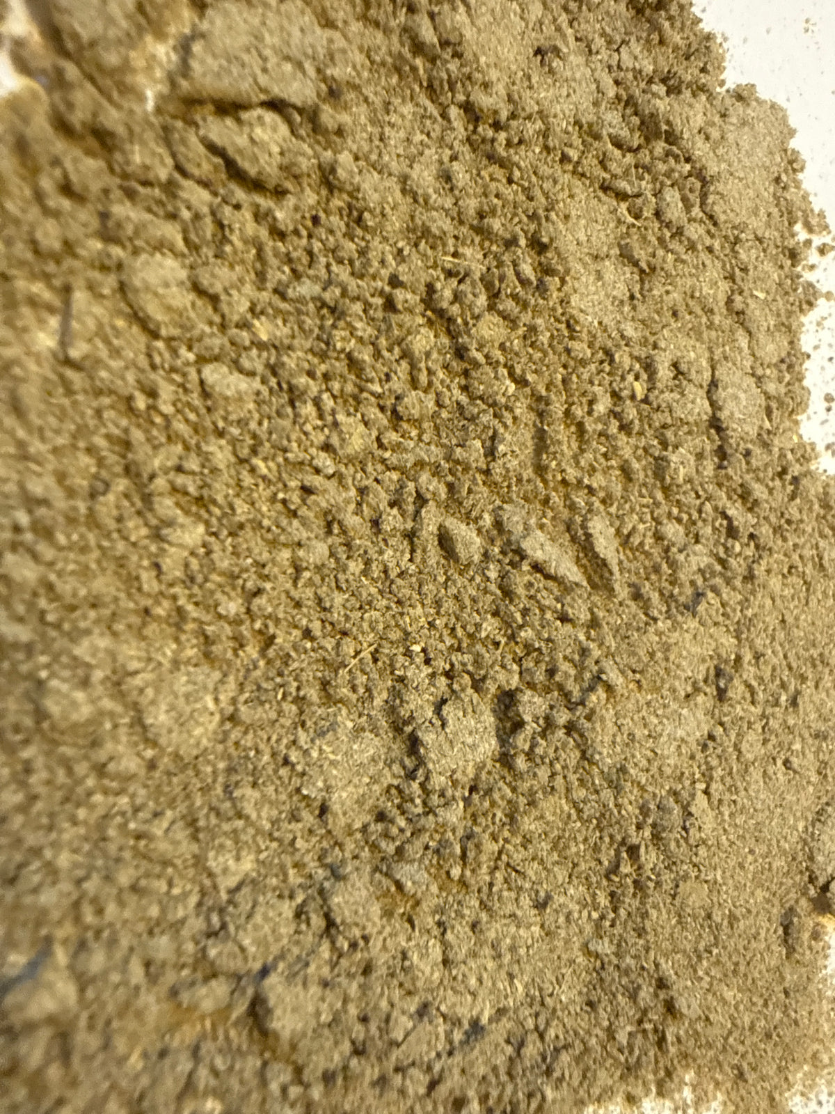 Echinacea Angustifolia Root Powder (Echinacea angustifolia) – GARDENS OF THE ANCIENTS®