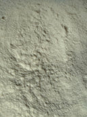 Papain Powder 70mcu – Carica papaya – GARDENS OF THE ANCIENTS®