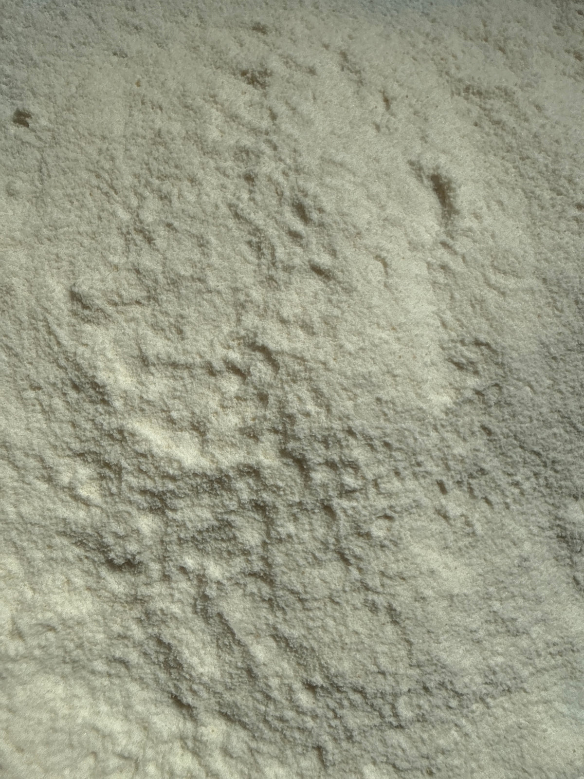 Papain Powder 70mcu (Carica papaya)