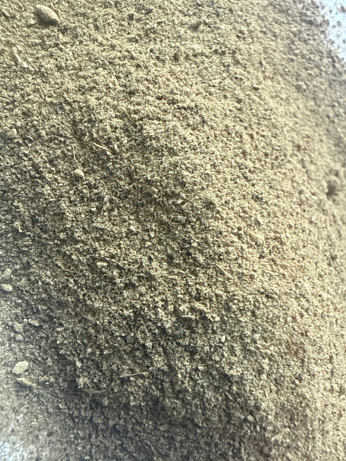 Trikatu Powder (Piper nigrum, Piper longum, Zingiber officinale) – GARDENS OF THE ANCIENTS®