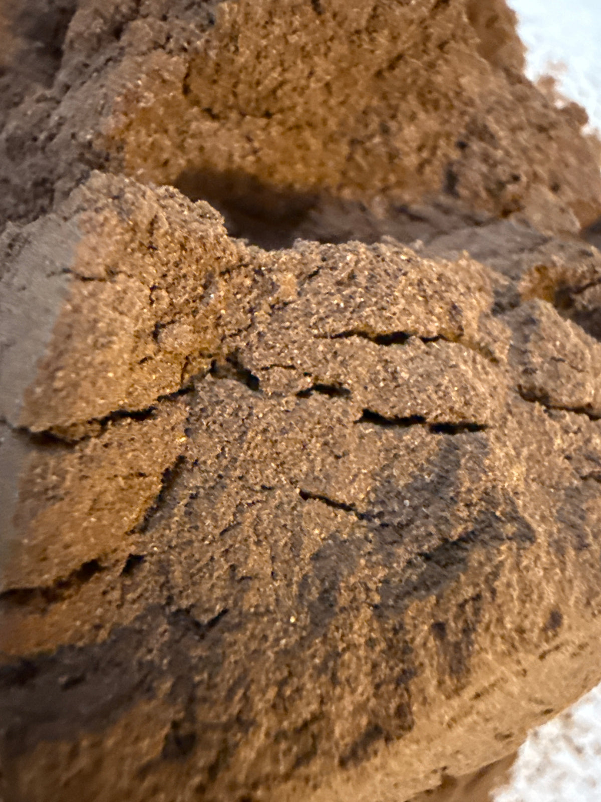 Pygeum Powder (Prunus africana) Organic – GARDENS OF THE ANCIENTS®
