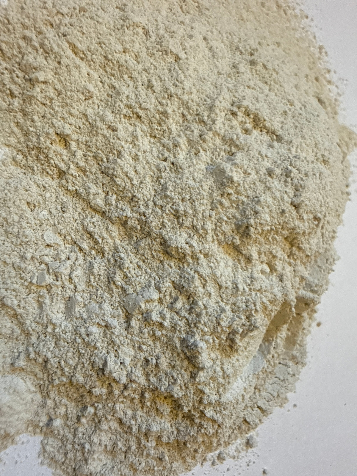 Deer Antler Velvet Powder (Cervus elaphus) – GARDENS OF THE ANCIENTS®