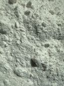 Hydrolyzed Pearl Powder – GARDENS OF THE ANCIENTS®
