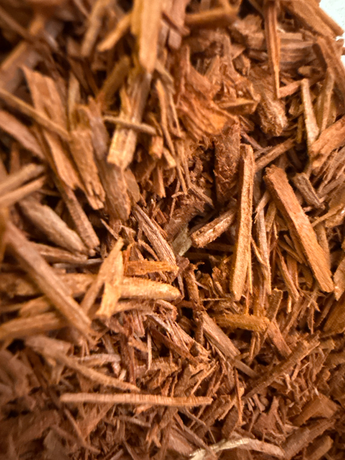Red Sandalwood Chips – Pterocarpus santalinus – GARDENS OF THE ANCIENTS®