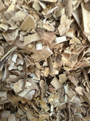 Red Willow bark – Salix spp. – GARDENS OF THE ANCIENTS®