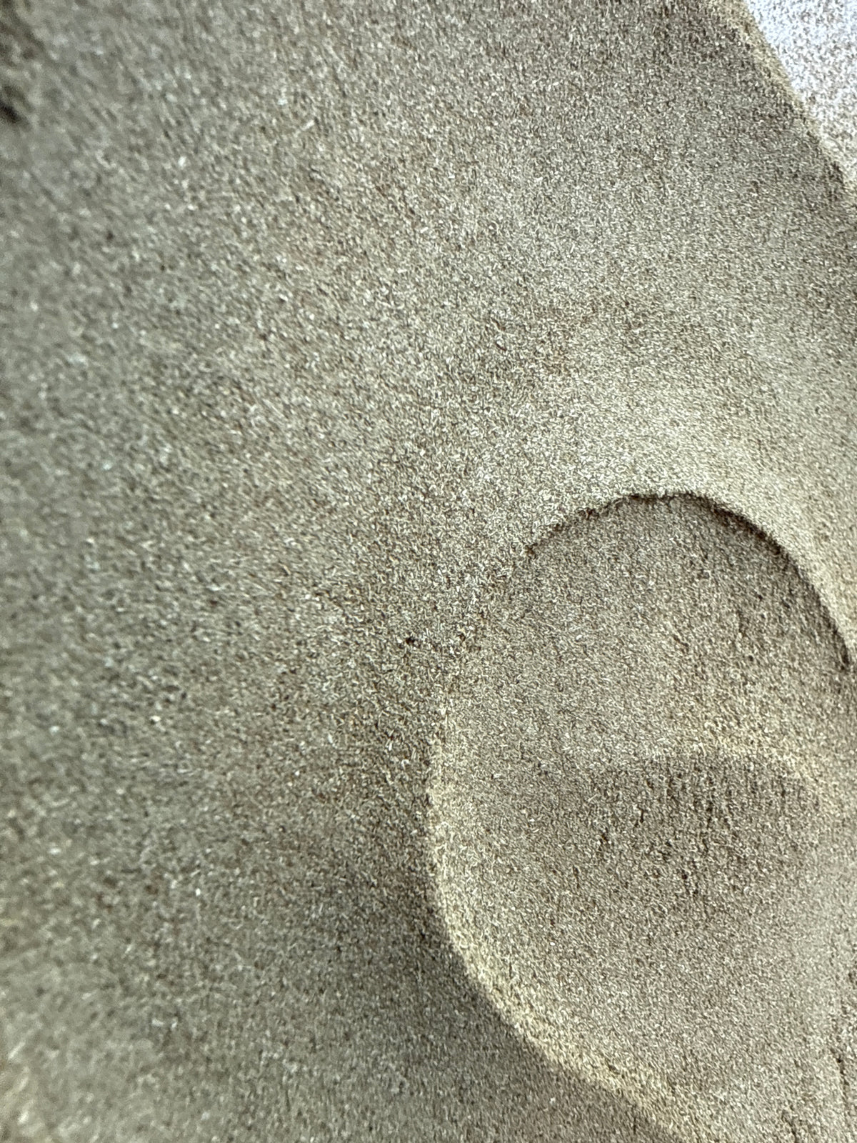 Horsetail (Shavegrass) Powder (Equisetum arvense) – GARDENS OF THE ANCIENTS®