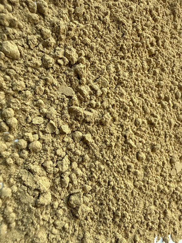 Kelp Powder – Ascophyllum nodosum – GARDENS OF THE ANCIENTS®