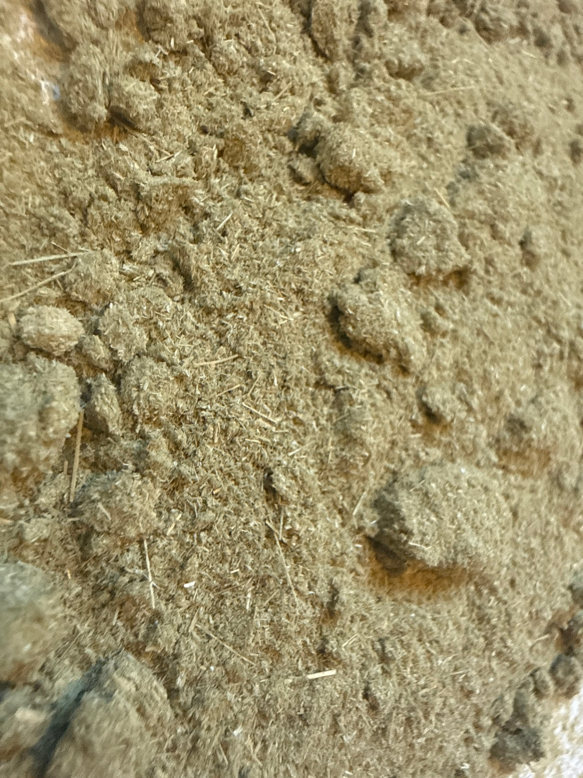 Oat Straw Powder (Avena sativa) – GARDENS OF THE ANCIENTS®