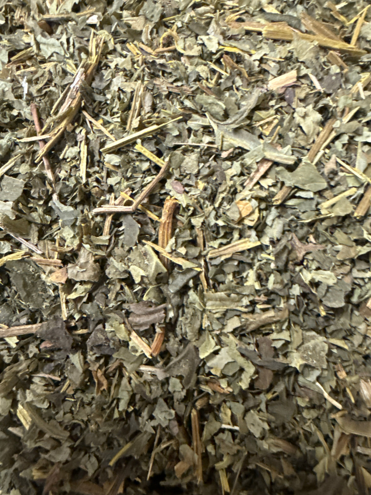 Goldenseal Leaf (Hydrastis canadensis) Wild Harvested