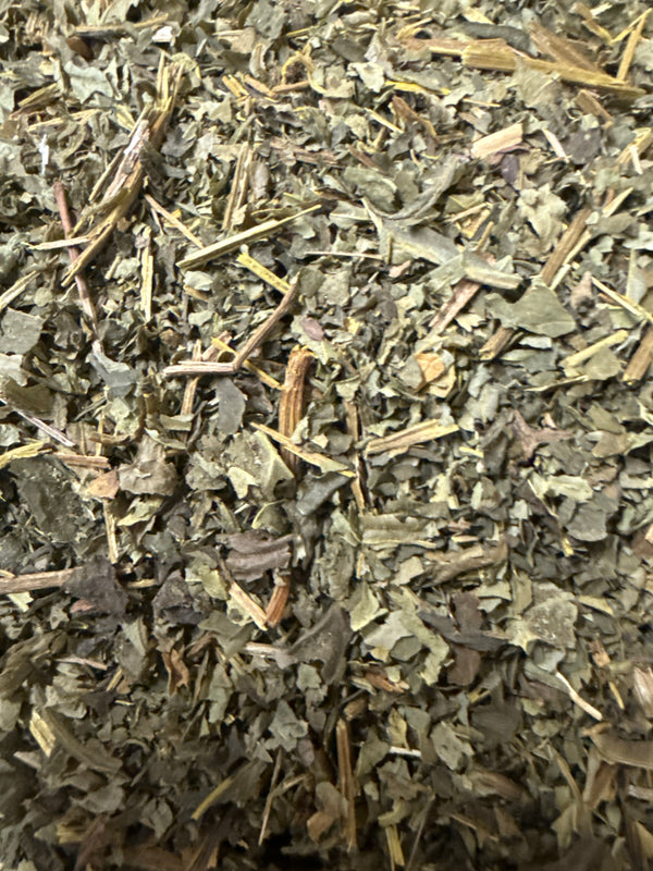 Goldenseal Leaf – Hydrastis canadensis Wild Harvested – GARDENS OF THE ANCIENTS®