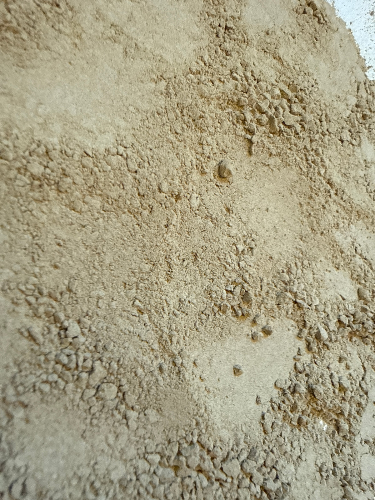 Dandelion Root Raw Powder (Taraxacum officinale) – GARDENS OF THE ANCIENTS®