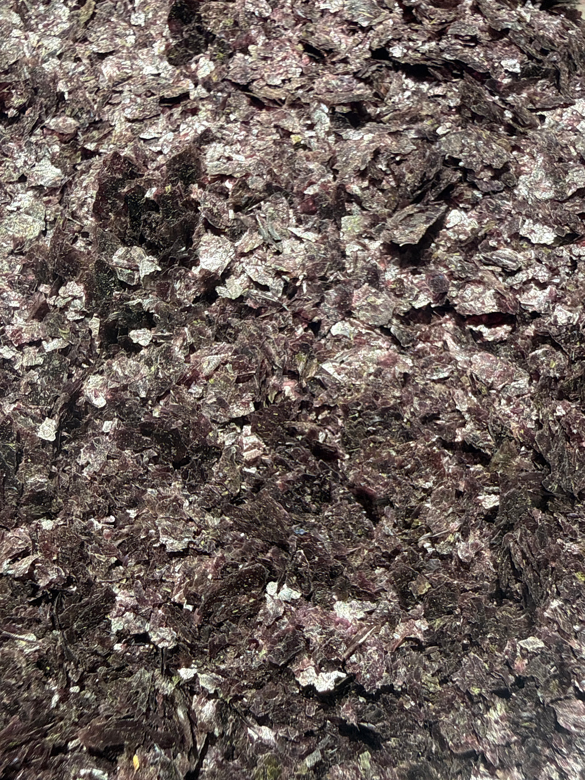 Wildcrafted Nori Flakes (Porphyra spp.) from GARDENS OF THE ANCIENTS, Austin TX