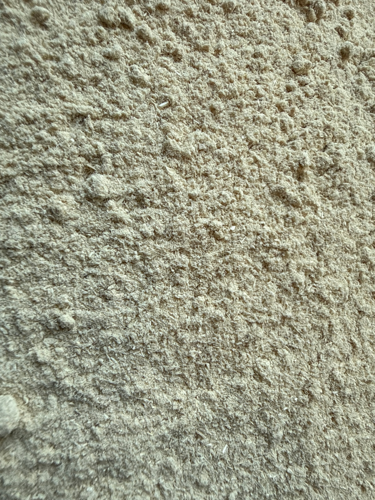 Meadowsweet Powder (Filipendula ulmaria) – GARDENS OF THE ANCIENTS®