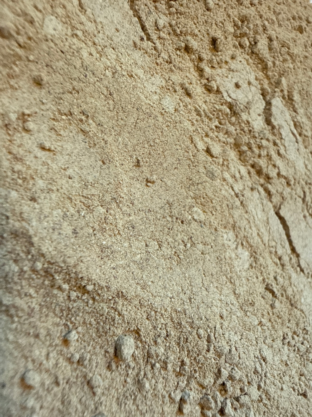 Red Maca Powder (Lepidium meyenii) – GARDENS OF THE ANCIENTS®