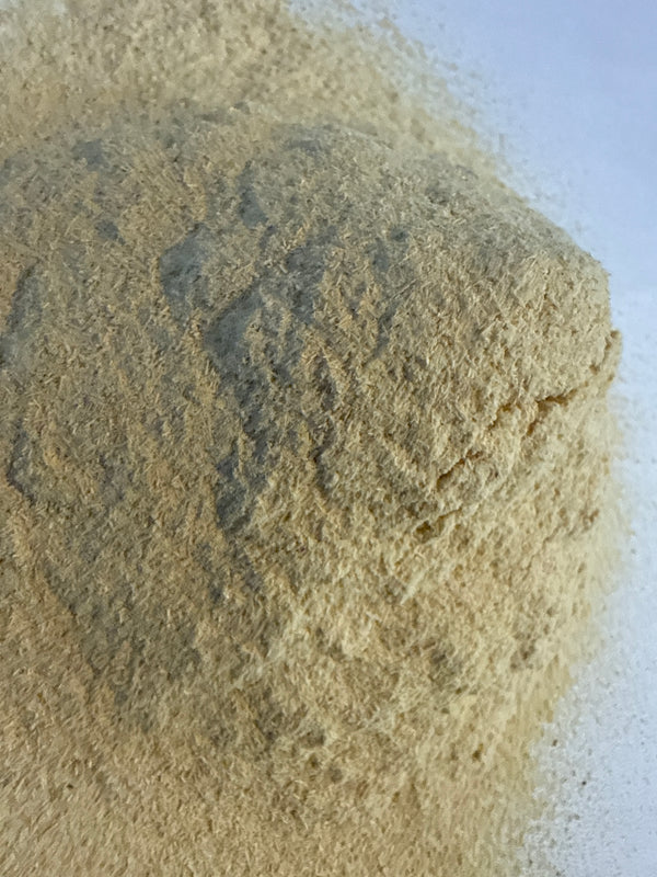 Quassia Wood Powder – Quassia amara – GARDENS OF THE ANCIENTS®