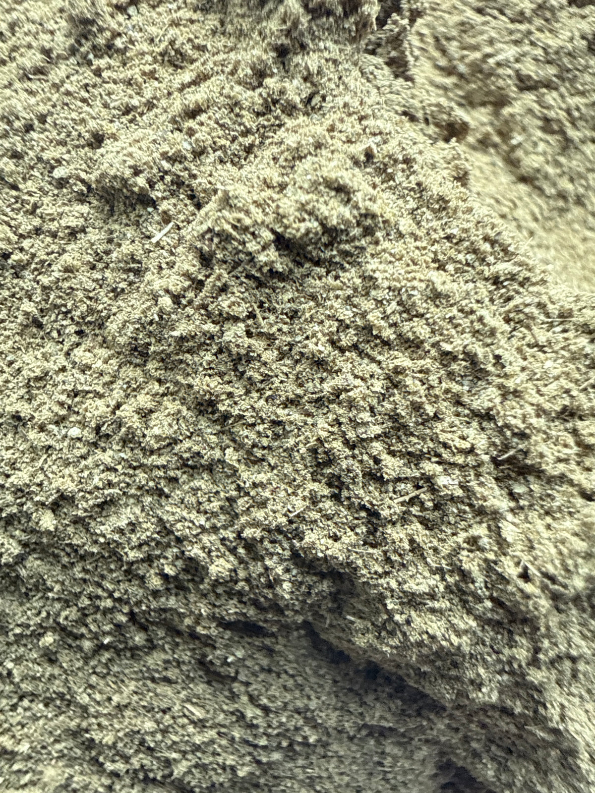 Senna Leaf Powder (Senna alexandrina) Organic – GARDENS OF THE ANCIENTS®