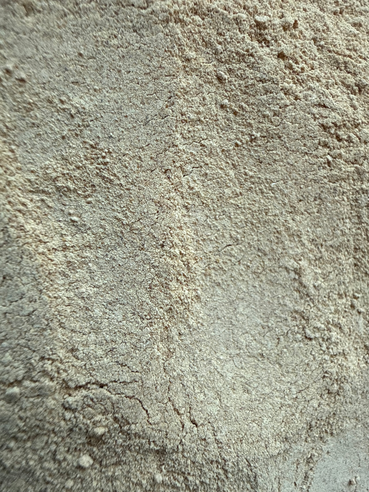 Yellow Maca Powder (Lepidium meyenii) – GARDENS OF THE ANCIENTS®