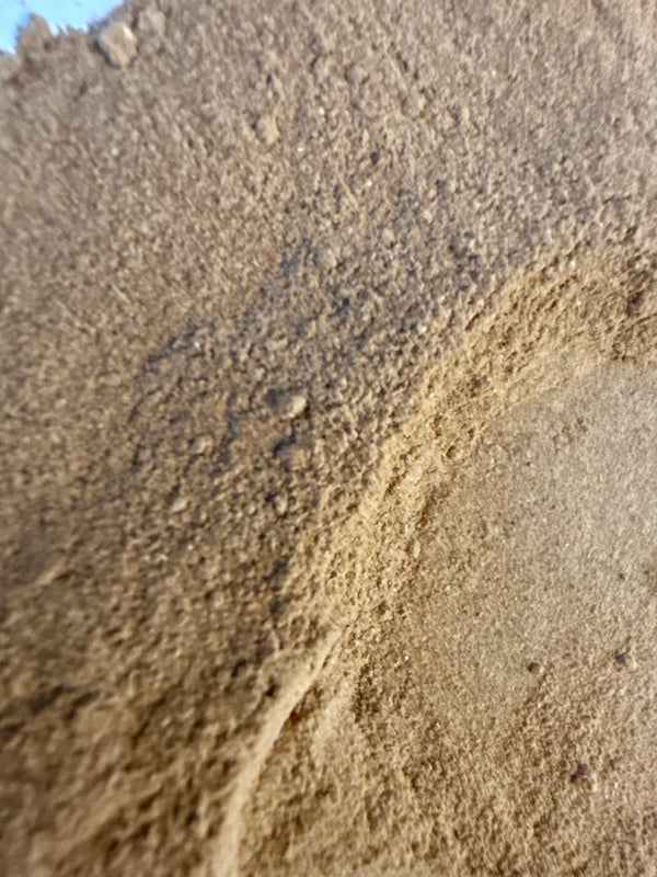 Rose Hip Powder – Rosa spp. Organic – GARDENS OF THE ANCIENTS®