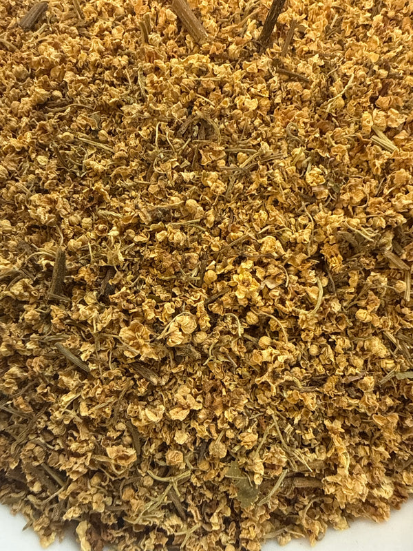 Elder Flower Whole – Sambucus nigra Wild Harvested – GARDENS OF THE ANCIENTS®