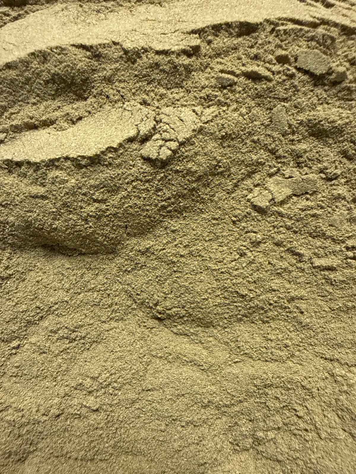 Yerba Mate Powder (Ilex paraguariensis) Organic – GARDENS OF THE ANCIENTS®