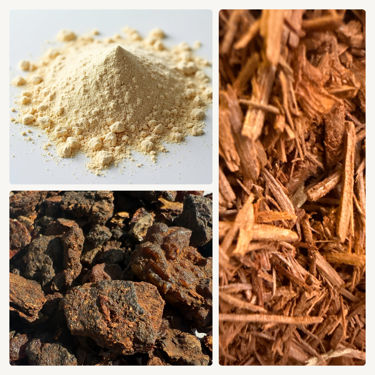 Frankincense, Myrrh & Sandalwood Incense Trio – Resins for Charcoal – GARDENS OF THE ANCIENTS®