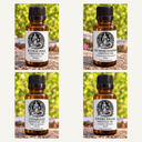 Forest & Woods Essential Oil Set – Pine, Cedarwood, Cedarleaf & Copaiba – GARDENS OF THE ANCIENTS®